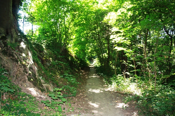 Bospadje...lekker verfrissend