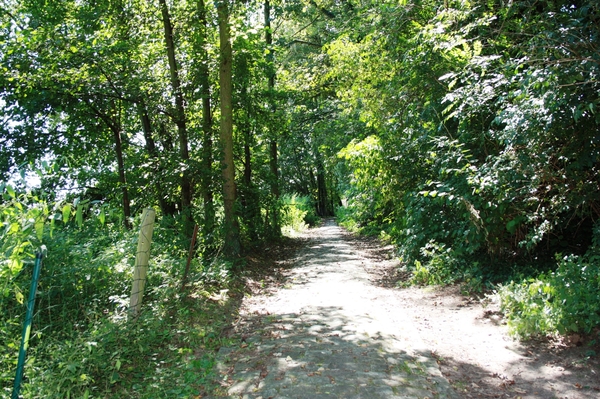 Kasseiweggetjes waren er ook