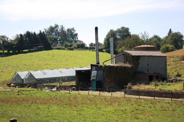 Zicht langs de bosrand