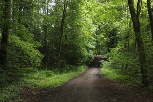 Genieten van de bosrijke omgeving