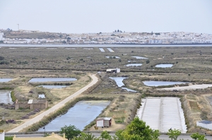 20120618_459