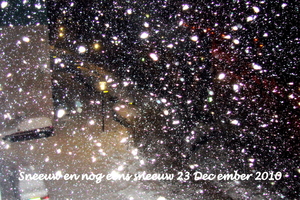 winter 2010