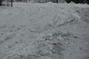 winter2010