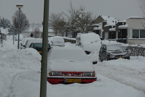 winter2010