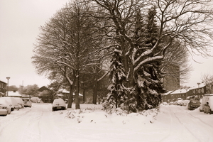 winter2010