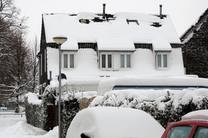winter2010
