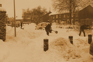 winter2010