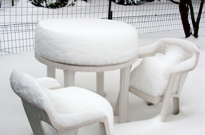 winter2010