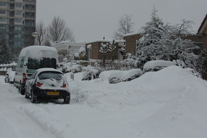 winter2010