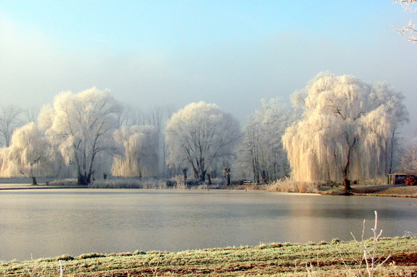 De zg. droomvijver te Hoensbroek