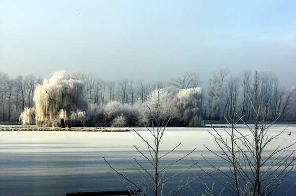 De zg.Droomvijver te Hoensbroek