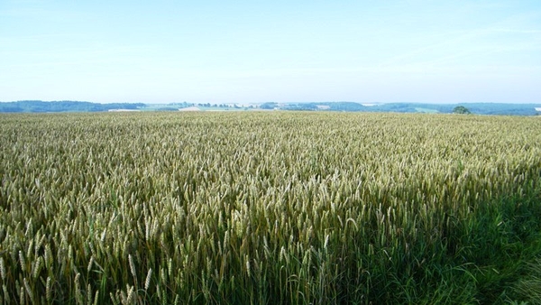 marche adeps wandeling Dene wallonie