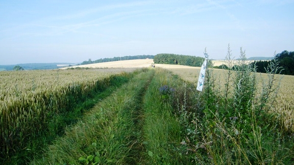 marche adeps wandeling Dene wallonie