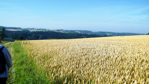 marche adeps wandeling Dene wallonie