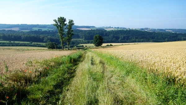 marche adeps wandeling Dene wallonie