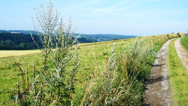 marche adeps wandeling Dene wallonie