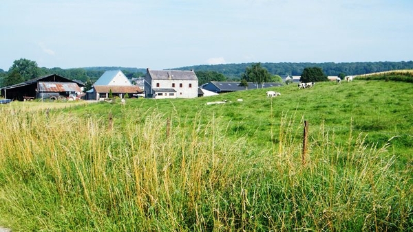 marche adeps wandeling Dene wallonie