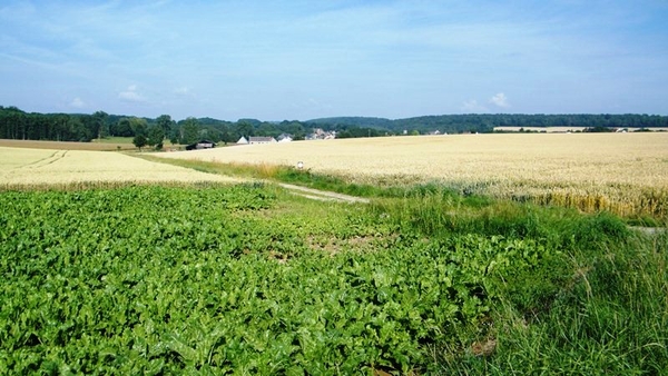 marche adeps wandeling Dene wallonie