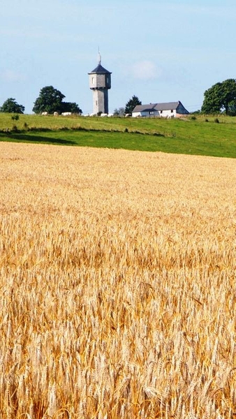 marche adeps wandeling Dene wallonie