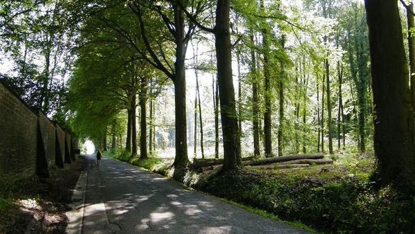 marche adeps wandeling Dene wallonie