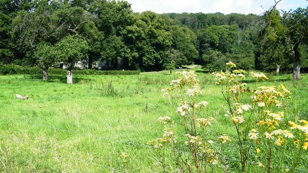 marche adeps wandeling dene wallonie