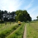2012-08-15 Oosterzele 007
