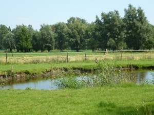 2012-08-15 Oosterzele 008