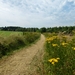 2012-08-15 Oosterzele 009