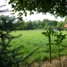 2012-08-15 Oosterzele 010