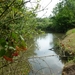 2012-08-15 Oosterzele 012