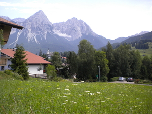 DSCN4532