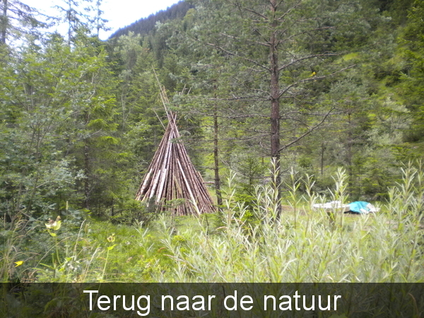 DSCN4539