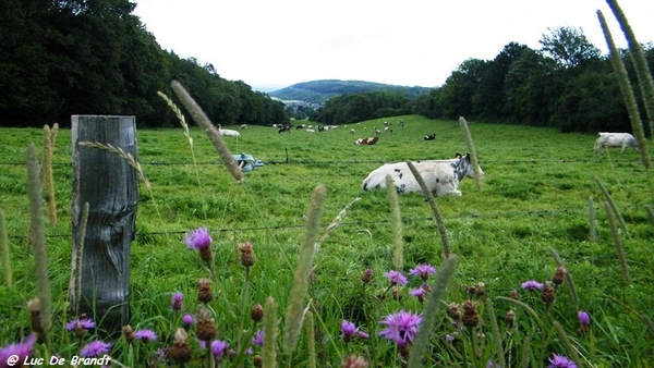 marche wandeling Beauraing Wallonie