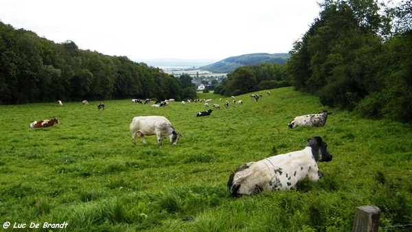 marche wandeling Beauraing Wallonie