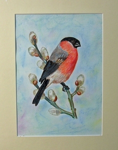 bloedvink