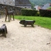 2012_07_28 Vierves-sur-Viroin 056