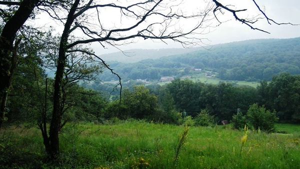 marche NA050 wandeling Vierves-sur-Viroin