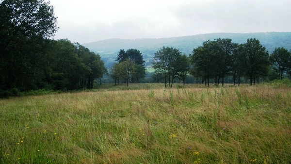 marche NA050 wandeling Vierves-sur-Viroin