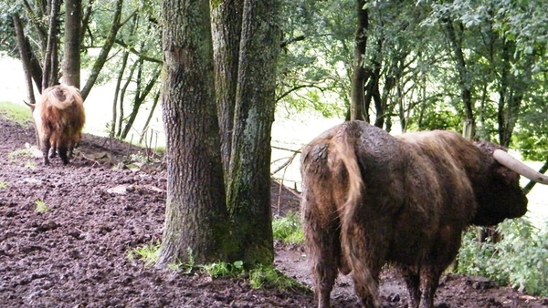 marche NA050 wandeling Vierves-sur-Viroin