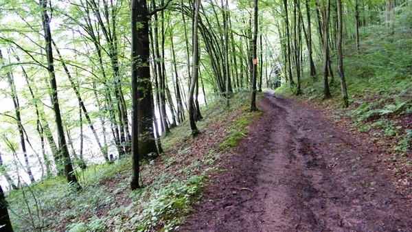 marche NA050 wandeling Vierves-sur-Viroin