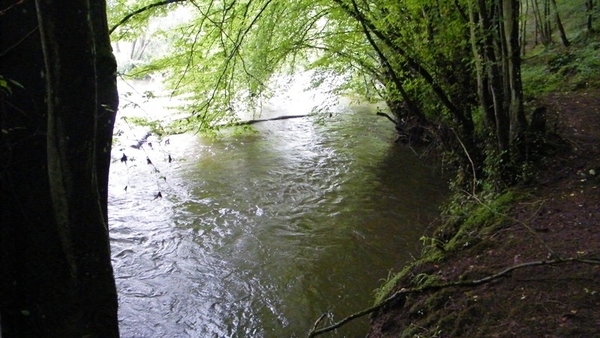 marche NA050 wandeling Vierves-sur-Viroin