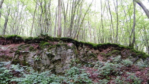 marche NA050 wandeling Vierves-sur-Viroin