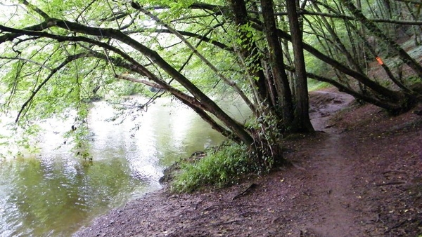 marche NA050 wandeling Vierves-sur-Viroin