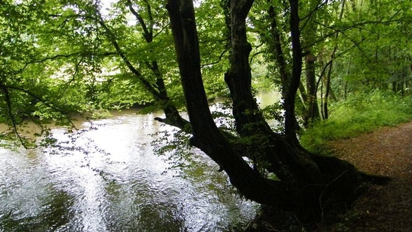 marche NA050 wandeling Vierves-sur-Viroin