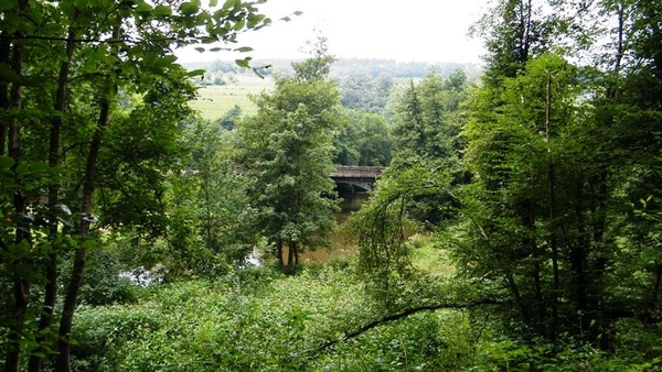 marche NA050 wandeling Vierves-sur-Viroin