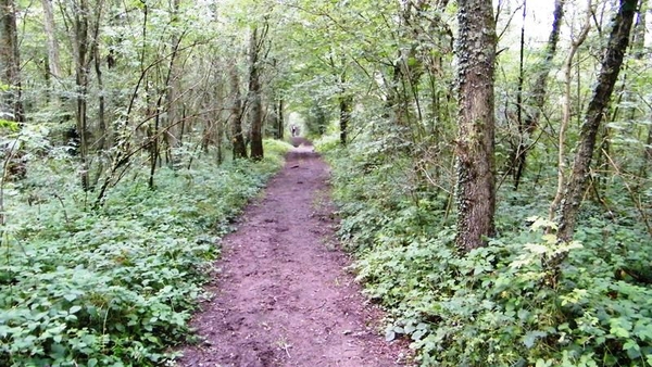 marche NA050 wandeling Vierves-sur-Viroin