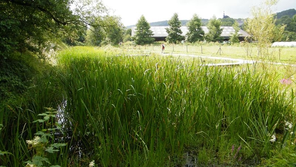 marche NA050 wandeling Vierves-sur-Viroin