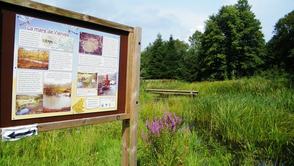 marche NA050 wandeling Vierves-sur-Viroin