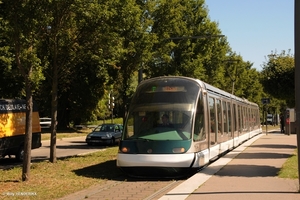 TRANSPORTS STRASBOURGEOIS 1033 ligneP STRASBOURG 20160823 (2)