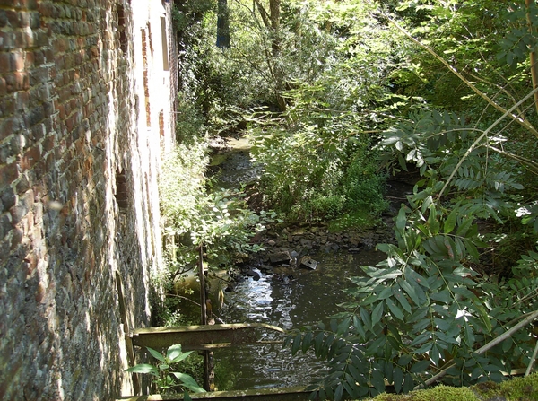 Aaigem Augustus 2012 014